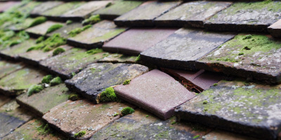 Buckden roof repair costs